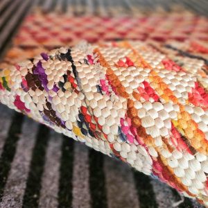 Article 03 - Rainbow Runner